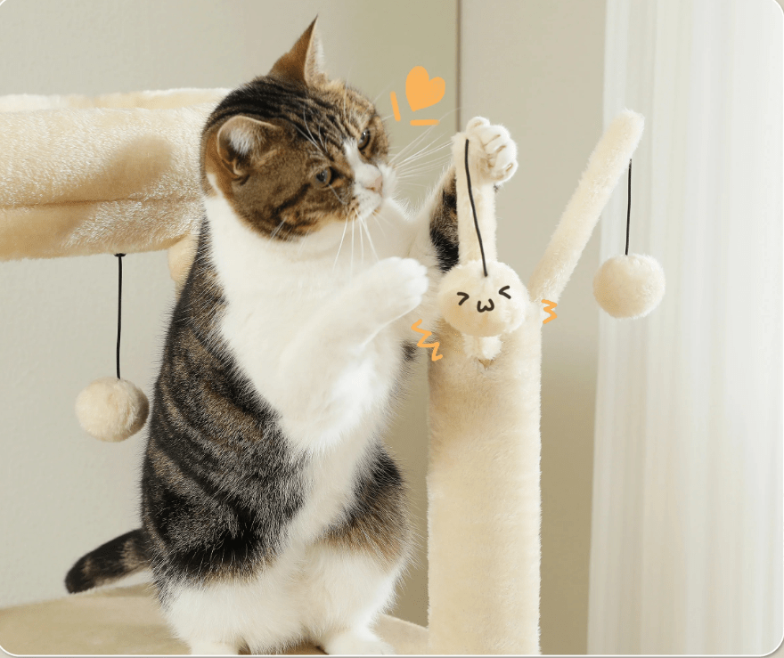 Arbre à chat maine coon plusieurs niveaux beige avec balles suspendus