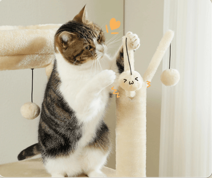 Arbre à chat maine coon plusieurs niveaux beige avec balles suspendus
