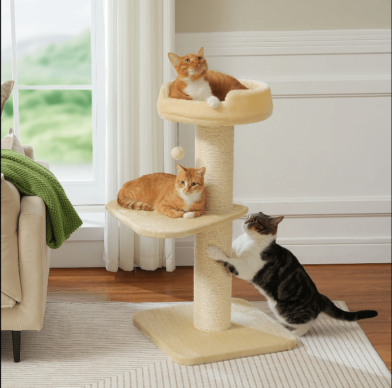 Arbre à chat maine coon beige robuste sécuritaire pour tous 