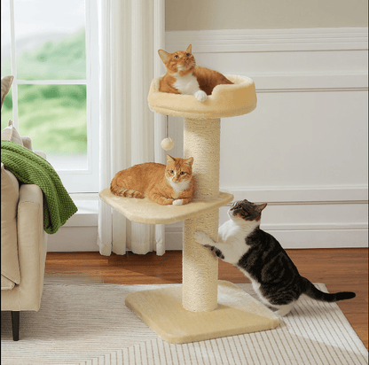 Arbre à chat maine coon beige robuste sécuritaire pour tous 