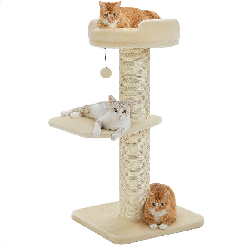 Arbre à chat maine coon beige robuste sécuritaire avec balle suspendu