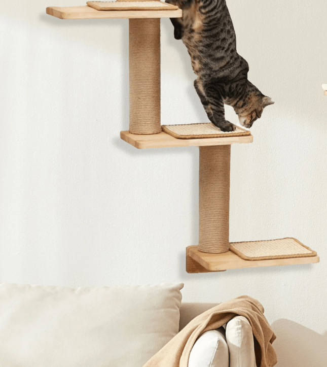 Arbre a chat muraux en bois pour l'exercice 