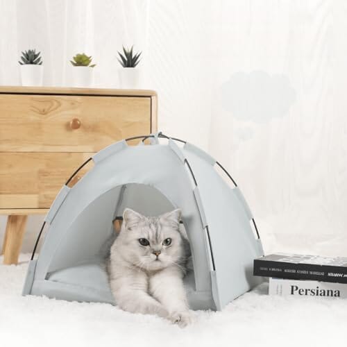 Tente Chat - CatTentBed™  Gris Cyan pour se reposer