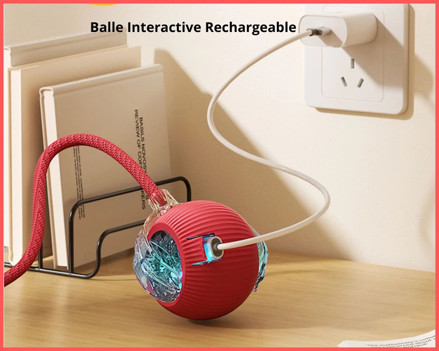 Balle Interactive Rechargeable