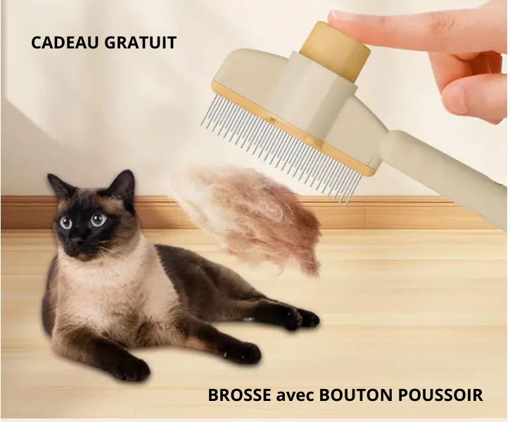 Cadeau Gratuit Brosse pour chat avec bouton poussoir