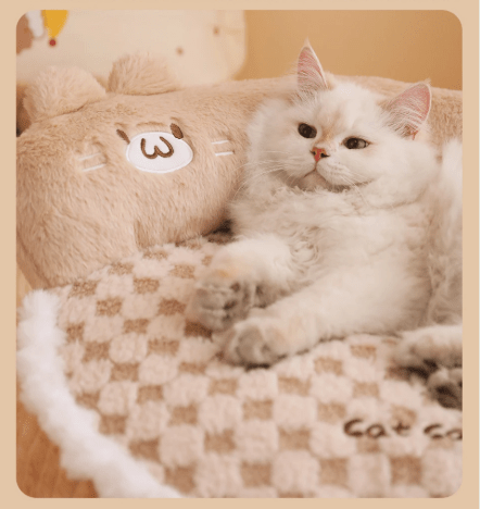Canapé pour chat luxe moelleux