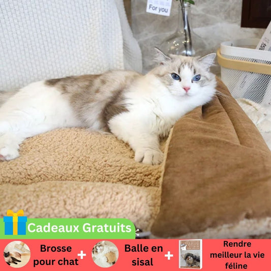 Coussin Chat Multifonctionnel en deux couleurs et attachable 