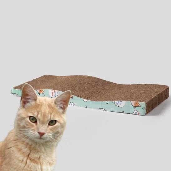 Griffoir à chat planche favorise son instinct