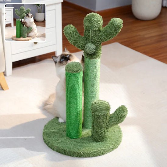 Griffoir pour chat trois poteaux vert avec balle suspendu