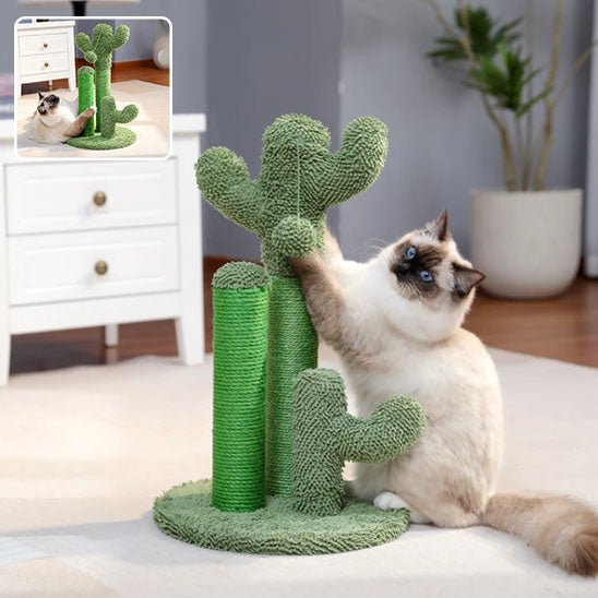 Griffoir pour chat trois poteaux vert pour sa santé mentale