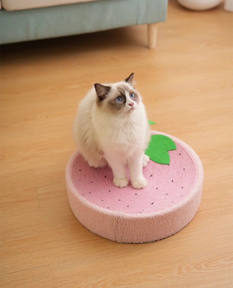 Griffoir pour chat avec gratte - roche rond pour l'instinct 