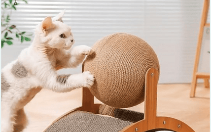 Griffoir a Chat - boule - planche - Boutique Chat l'Heureux