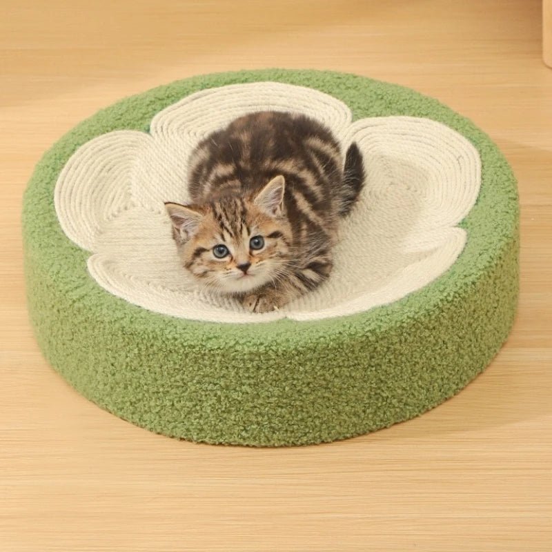 Griffoir pour chat gratte roche rond chaton