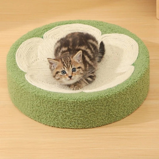 Griffoir pour chat gratte roche rond chaton