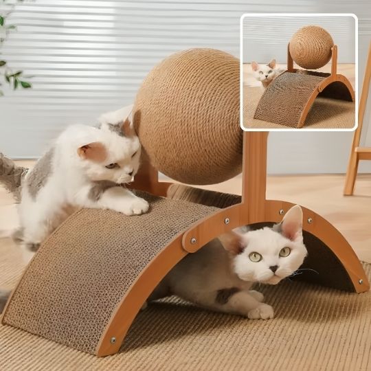 Griffoir pour chat pour jeux