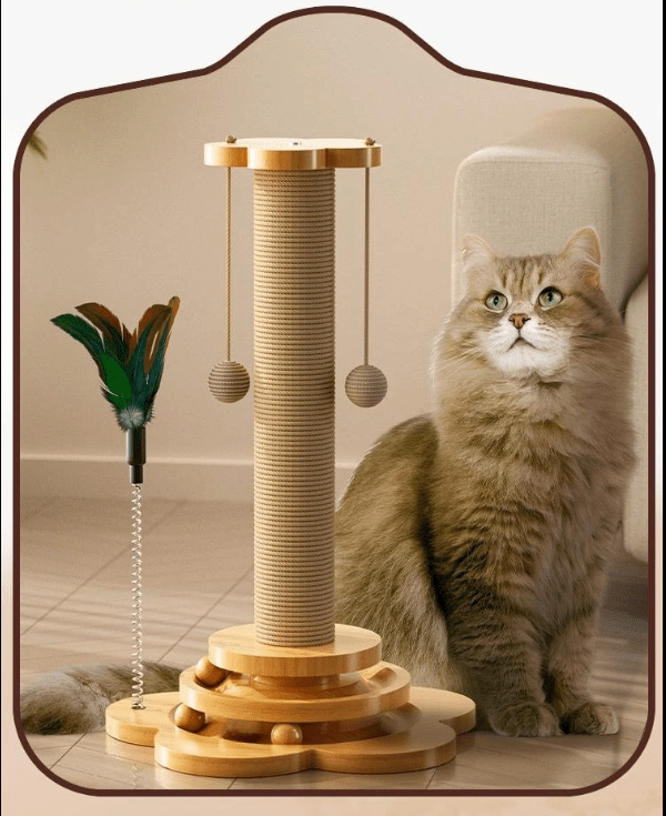 Griffoir pour chat plateau tournant complet