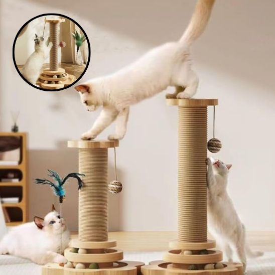 Griffoir pour chat plateau tournant en deux grandeurs