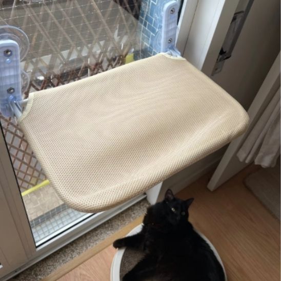 Hamac pour chat fenêtre double ventouses beige bonheur