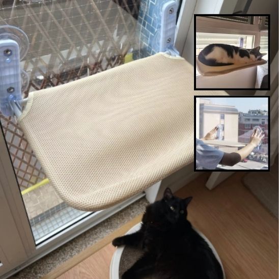 Hamac pour chat fenêtre double ventouses beige commodité 