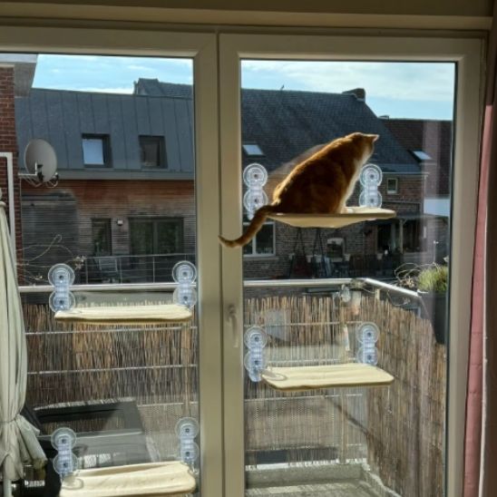 Hamac pour chat fenêtre double ventouses beige à plusieurs étages