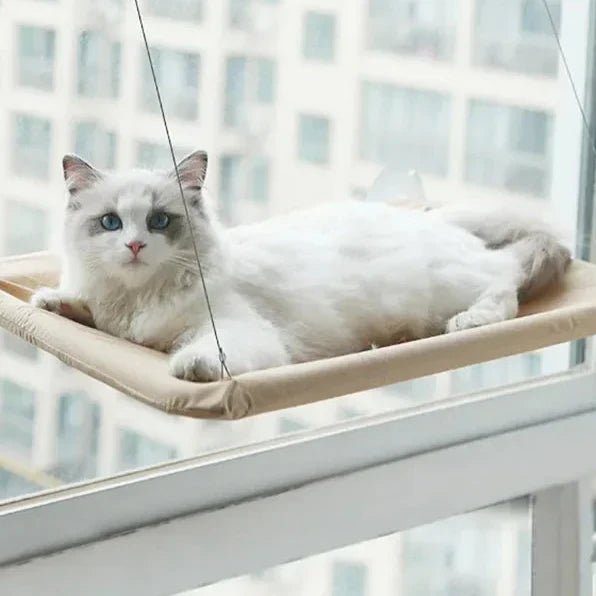 Hamac pour chat dans fenêtre avec ventouse et corde couleur beige