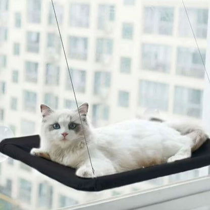 Hamac pour chat dans fenêtre avec ventouse et corde détente