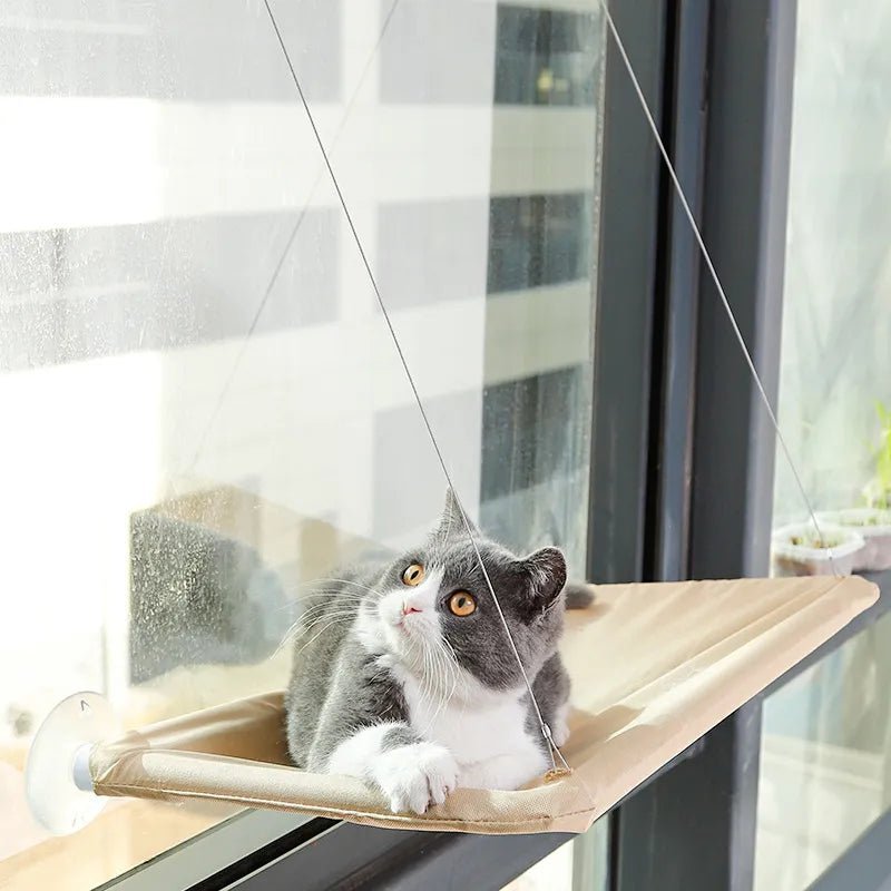 Hamac pour chat dans fenêtre avec ventouse et corde douceur