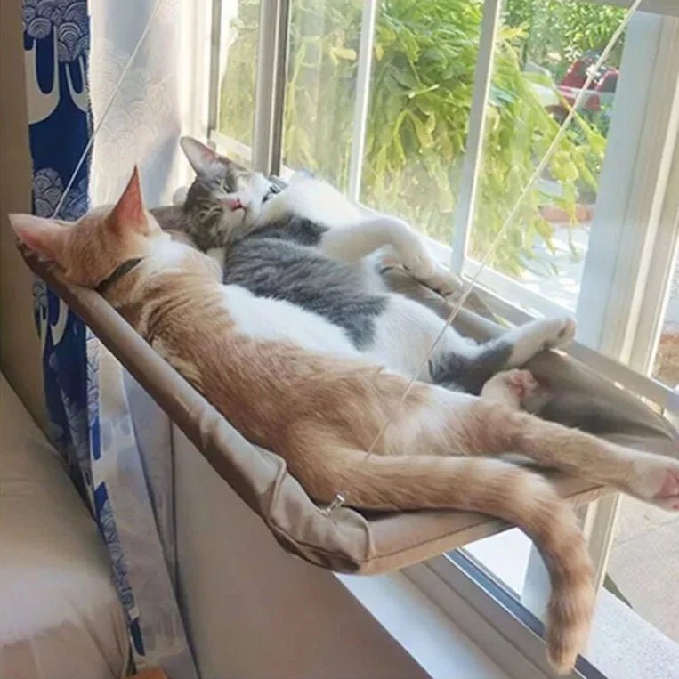 Hamac pour chat dans fenêtre avec ventouse et corde robuste