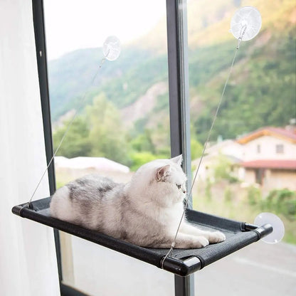 Hamac pour chat dans fenêtre avec ventouse et corde solide