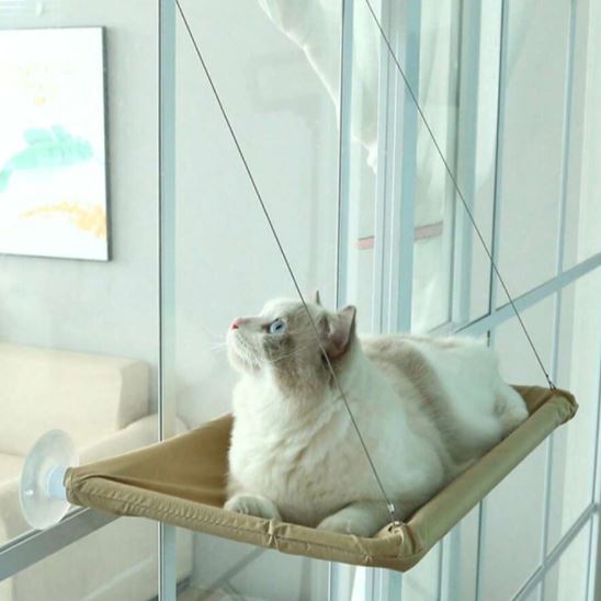 Hamac pour chat dans fenêtre avec ventouse et corde pour surveillance 