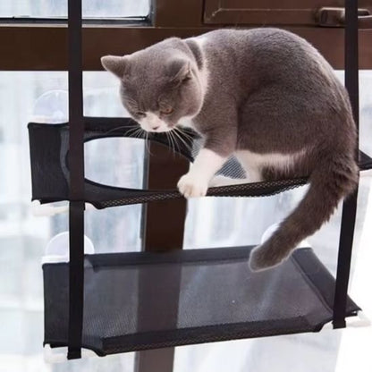Hamac pour chat fenêtre avec ventouse sécuritaire