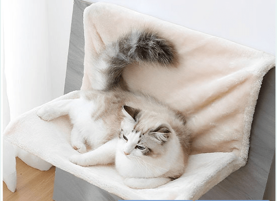 Hamac pour chat - radiateur - luxueux - Boutique Chat l'Heureux