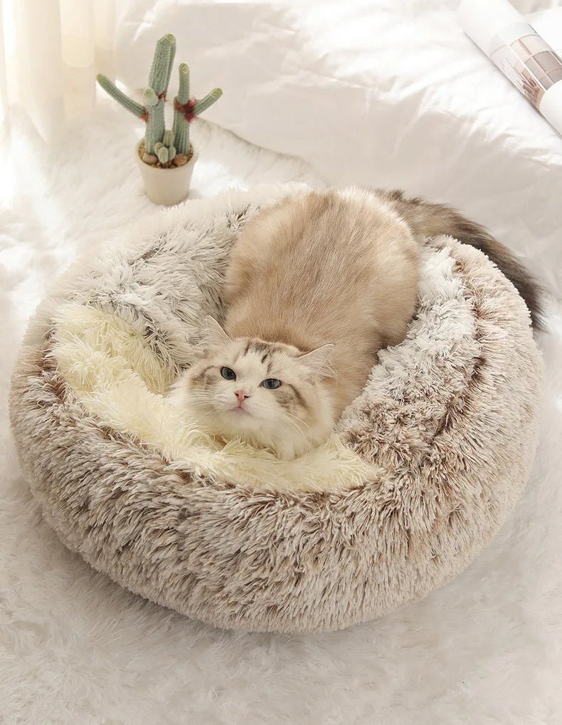 Maison pour chat couette peluche bronze confortable