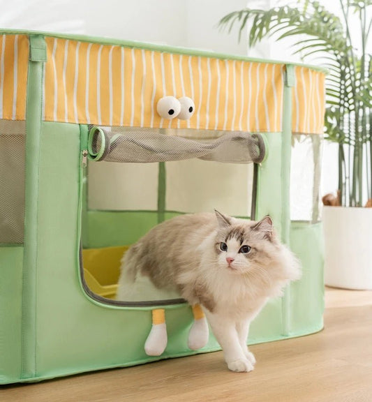Maison pour chat salle de jeu  verte avec large entrer 