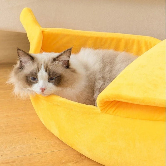 Panier banane pour chat qui apporte le calme calme