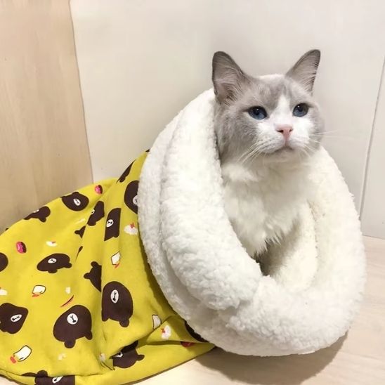 Panier pour  Chat Couchage Jaune contre le froid