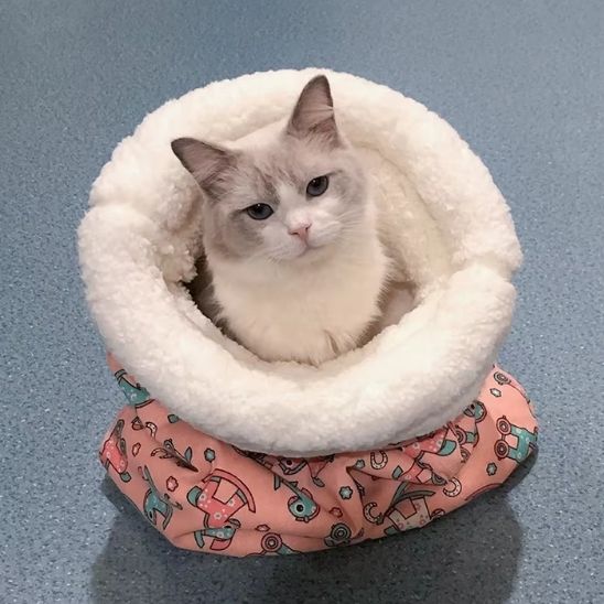Panier pour Chat Couchage Rose pour cachette