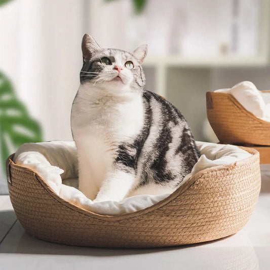 Panier pour chat en osier avec coussin ultra sensoriel 