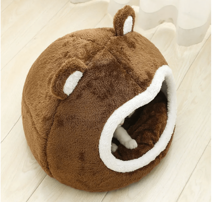 Panier pour chat au visage d'ours brun esthétique  