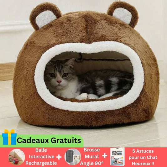 Panier pour chat au visage d'ours brun 