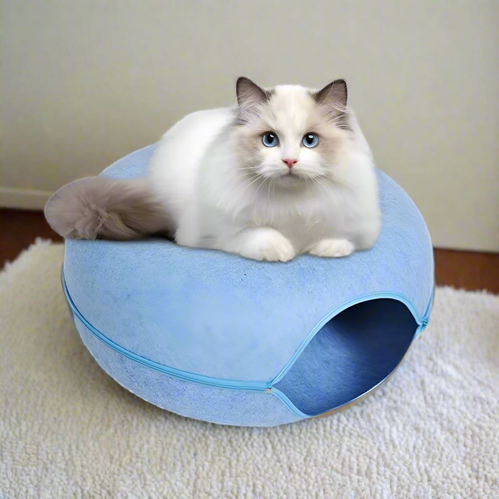 Lit pour Chat - Chat-Condo™ Bleu même pour gros matou