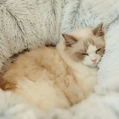 Lit pour Chat - CatLitTunnel™ - Gris - Boutique Chat l'Heureux