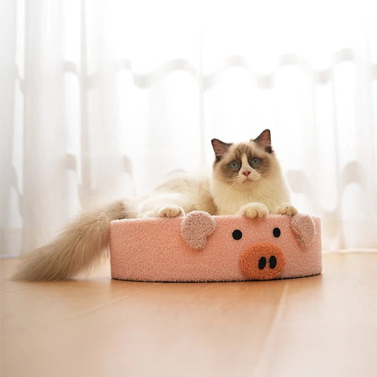 Griffoir pour chat avec gratte - roche rond visage de cochon