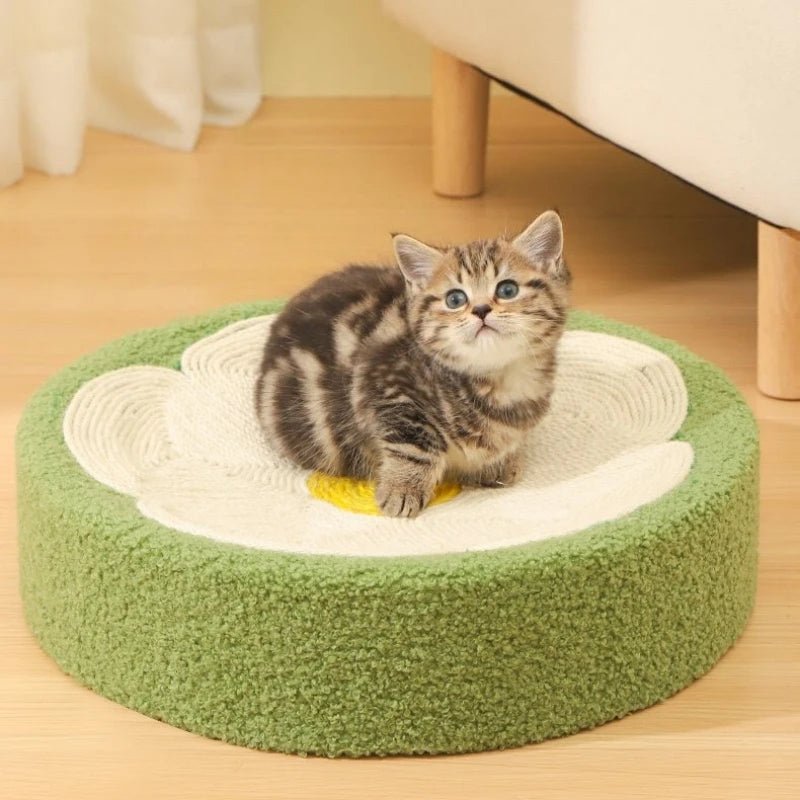 griffoir a chat gratte roche grenouille vert utilité et nécessité