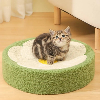griffoir a chat gratte roche grenouille vert utilité et nécessité