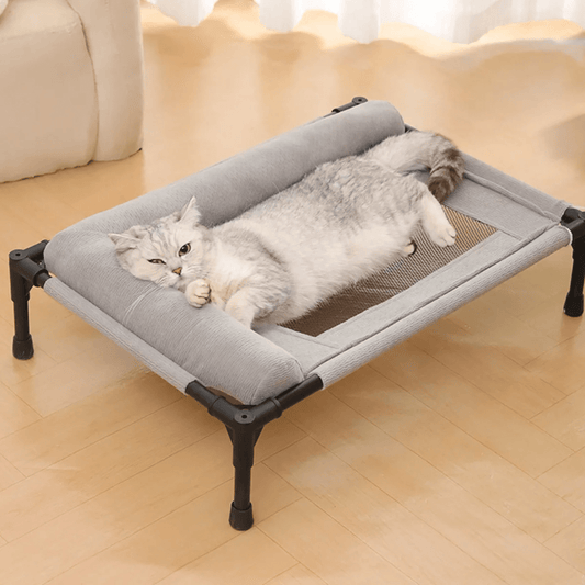 Hamac pour chat - sur pattes - Boutique Chat l'Heureux