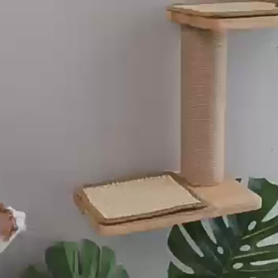 VIDÉO-Arbre a chat muraux bois 