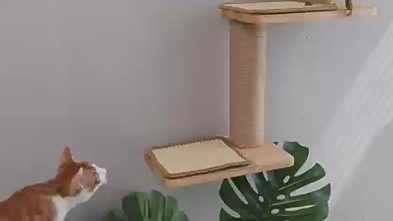 VIDÉO-Arbre a chat muraux bois 