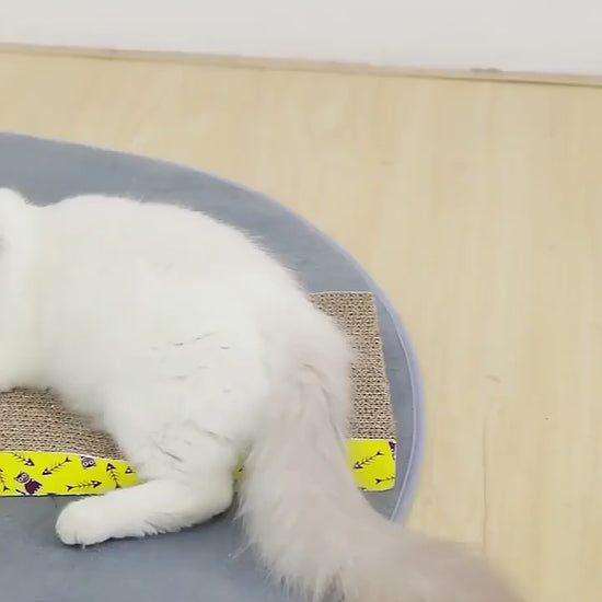 VIDÉO-Griffoir pour chat  planche a gratter brun