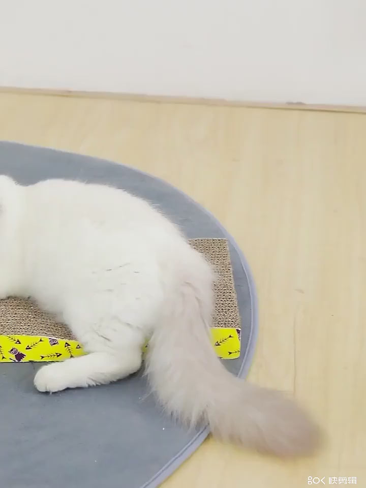 VIDÉO-Griffoir pour chat  planche a gratter brun